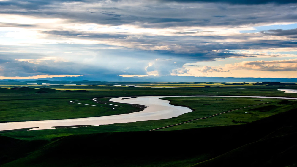 psc.webp (4) 副本.JPG